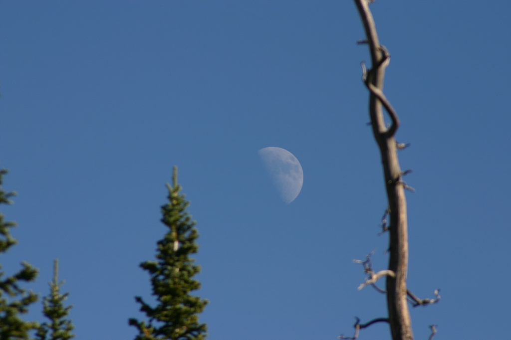 04 - Cedar Break (9).JPG